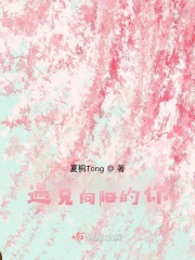 遇见你阳光正好下一句